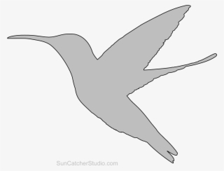 Humming Bird Pattern - Colibrí Negro Png #5895797