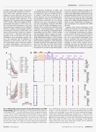 Untitled, Tailpiece, Pg. 99, In The Book Dingo By Octave #5896100