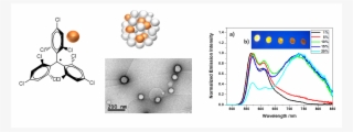 Excimers From Stable And Persistent Supramolecular #5896146