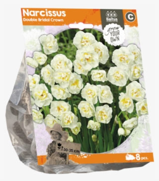 Narcissus Double Bridal Crown Per - Petticoat Daffodil #5897325