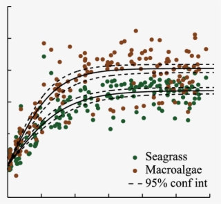 Curves For Hourly Rates Of Gross Primary Production - Newspaper Front Page Layout Design #5897503
