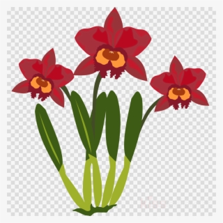 Narcissus Png #5897551