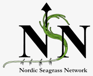 Download Nordic Seagrass Network Logo From - Nsn Logo #5897739 Download Nordic Seagrass Network Logo From - Nsn Logo #5897739