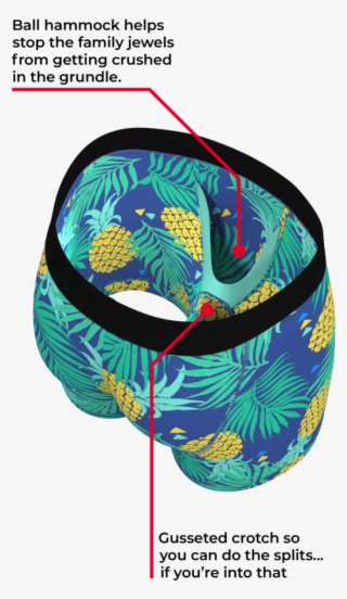 Pineapple Print Shinesty Ball Hammocks #5897740