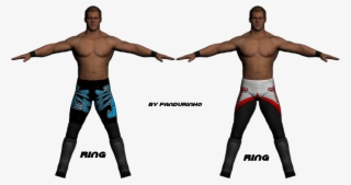 Chris Jericho Save Me Logo Www Imgkid Com The Image - Wwe Chris Jericho Save Me #5898374