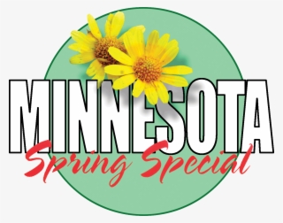 Minnesota Spring Special - House Clip Art #5899022