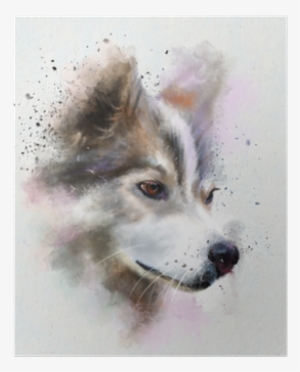 Watercolor Portrait Dog Breed Husky #590277