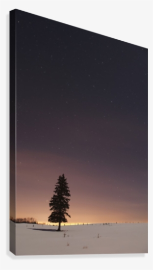 Stars In The With - Posterazzi Stars In The Night Sky Anada Posterprint #590983 Stars In The With - Posterazzi Stars In The Night Sky Anada Posterprint #590983