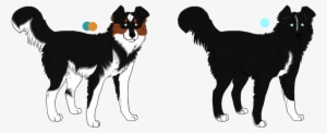 Banner Transparent Library Husky X Border Adopts - Husky X Border Collie #591035