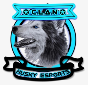 [e][h]husky Esports - Keeshond #591167