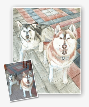 Choose Medium - Mackenzie River Husky #591185