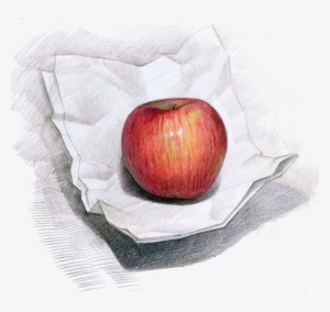 Apple Campus Colored Pencil Drawing Painting - Drawing #592782
