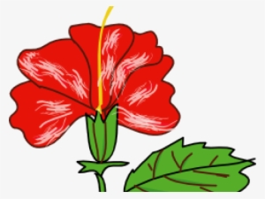 Floral Clipart Single - Hibiscus In Cartoon #593069