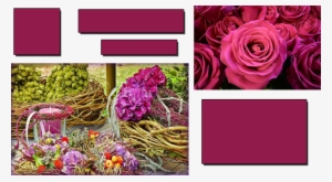 In Single-flower Arrangements, Such As An All Rose - 5-digit Number Search 3 #593095