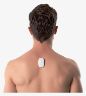 Love Your Back And It'll Love You Back - Back Of Head Png #593185