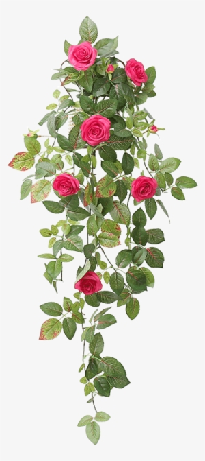 Color Classification, Light Pink Single Bouquet Rose - Plants #593227