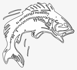 Large Mouth Bass Drawing At Getdrawings - Black And White Bass Fishing #594132