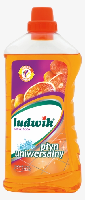 Material Safety Data Sheet Information On Ingredients - Ludwik Płyn Uniwersalny #594944