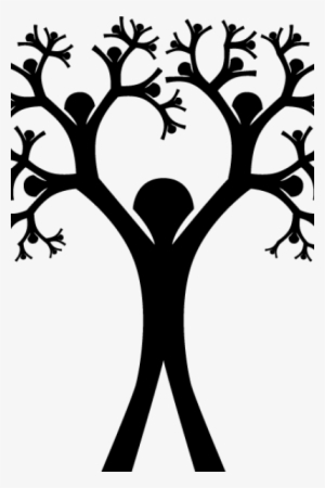 Family Tree Png Transparent Family Tree Png Image Free