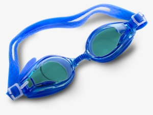 The Best Coaches In America - Diving Equipment #595190