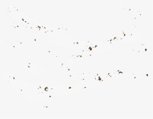 Flock #596015