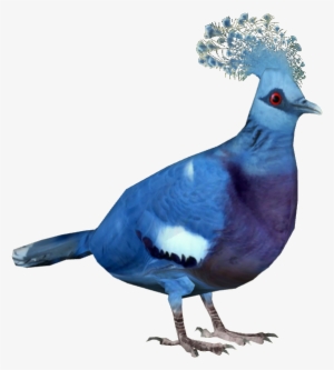 Victoria Crowned Pigeon - Victoria Crowned Pigeon Png #596218