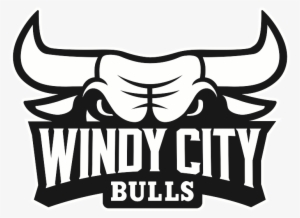 Bulls Kid Nation - Windy City Bulls Png #596343