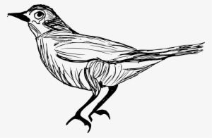 Png File Size - Drawing #596345