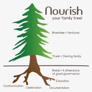 Coming From A Forestry Family, Dr - Family Tree As Metaphor #596392 Coming From A Forestry Family, Dr - Family Tree As Metaphor #596392