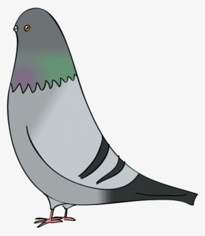 Flip Flop Flyin' - Pigeons Drawing #596534