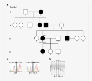 The Family Tree Of Patient 4461 (a 65- - Diagram #596555