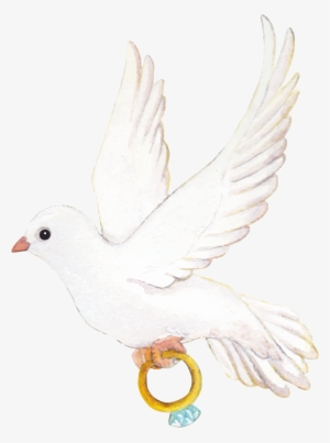 Snitch Vector Pigeon Wing - White Pigeon Wedding Png #596681
