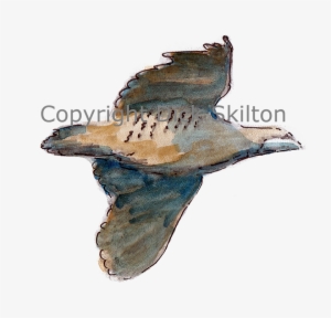 2023 By My Site Name - Humpback Whale #596722