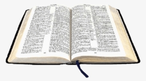 Open Bible Png Images - Bible Png #596768