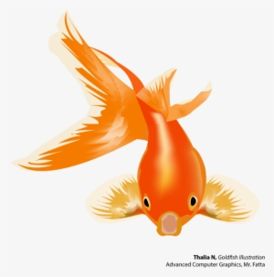 Goldfish And Betta - Gold Fish Vector Png #596981