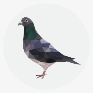 Results - Critical Role Metagaming Pigeon #597005