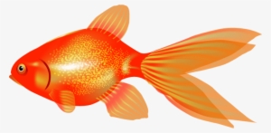 Free Png Goldfish Png Images Transparent - Portable Network Graphics #597070