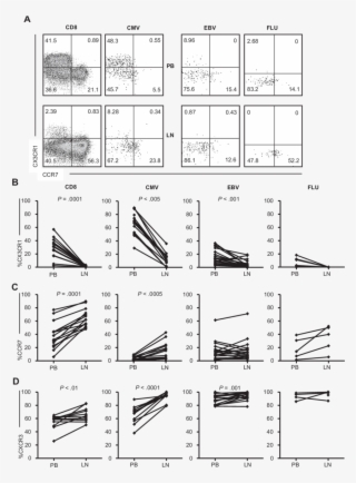 Chemokine Receptor Expression On Cd8 T Cells In The #5900827