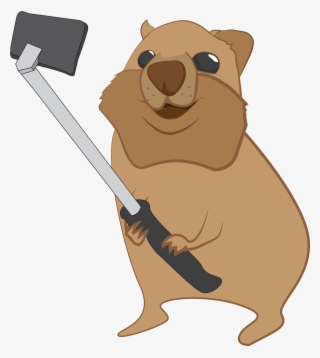 Quokka With Selfie Stick - Quokka Cartoon Transparent #5901027