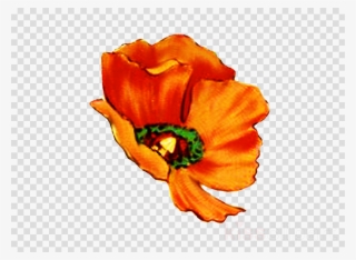 Digital Flower Png Clipart Flower Greeting & Note Cards - Digital Scrapbooking #5901092