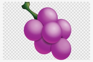 Grape Emoji Png Clipart Common Grape Vine Must - Transparent Background Chat Icon #5901460