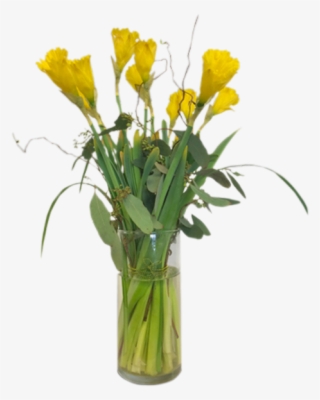 Dashing Daffodils - Vase #5901752
