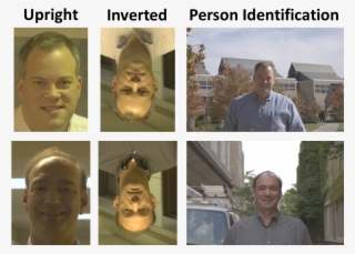 South Carolina #5902529