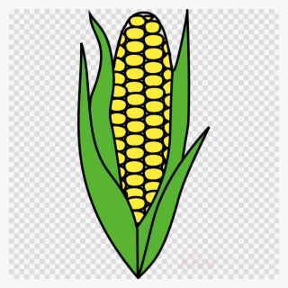 Maize Clipart Corn On The Cob Candy Corn - Maize #5903189