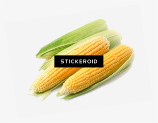 Corn - Corn Kernels #5903232