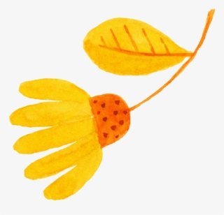 Orange Yellow Flower Bud Cartoon Transparent #5904276