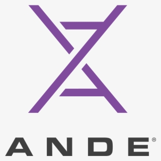 Sponsors & Exhibitors - Ande Rapid Dna Logo #5905080
