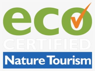 Australian Age Of Dinosaurs Ltd - Eco Certified Nature Tourism #5905269