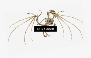 Dragon Skeleton #5905815