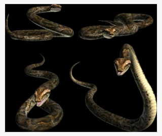 Free Snake Png Images - Drawing #5906820